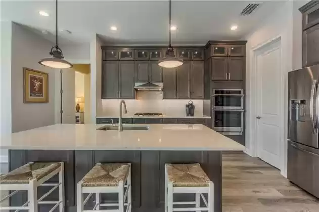 Close up of Kitchen, large island, back wall has gas cooktop, oven bank (dual convection ovens, microwave, steam); door to enormous pantry (9' x 5').