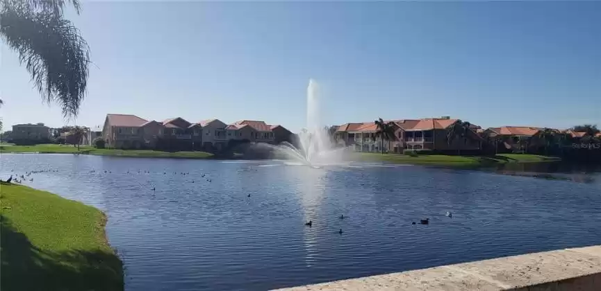 Water features throughout the community make for serene sounds and views for our homeowners.