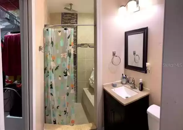 Master bathroom with dual shower heads including rainfall