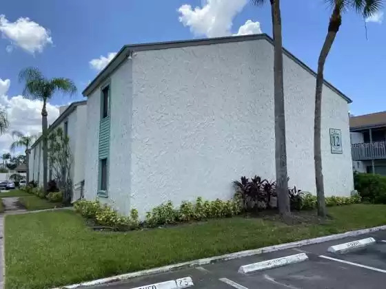 11566 7TH LANE, ST PETERSBURG, Florida 33716, 1 Bedroom Bedrooms, ,1 BathroomBathrooms,Residential Lease,For Rent,7TH,O5964578