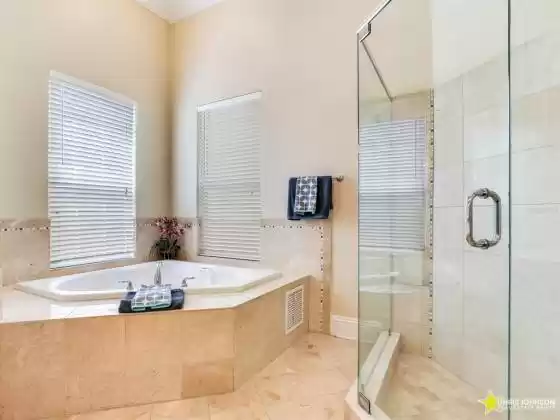 Master Bath Shower & Jetted Tub