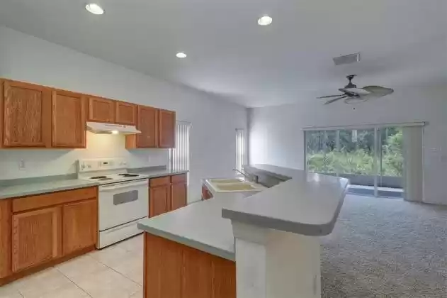 2925 BANYAN HILL LANE, LAND O LAKES, Florida 34639, 4 Bedrooms Bedrooms, ,2 BathroomsBathrooms,Residential,For Sale,BANYAN HILL,T3331568