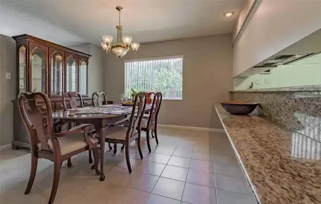 Granite counter in dining room makes a great buffet table!