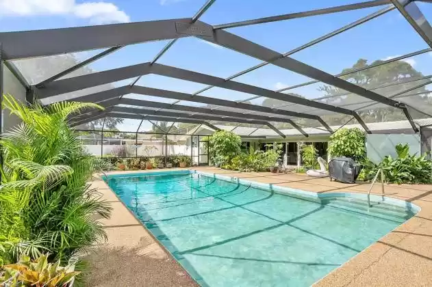 Tropical Oasis, 18 x 36 pool