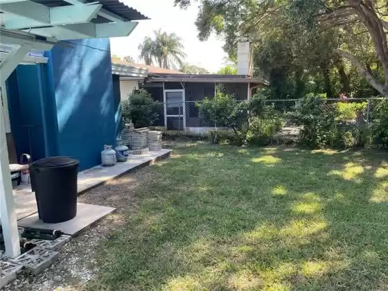 backyard by patio