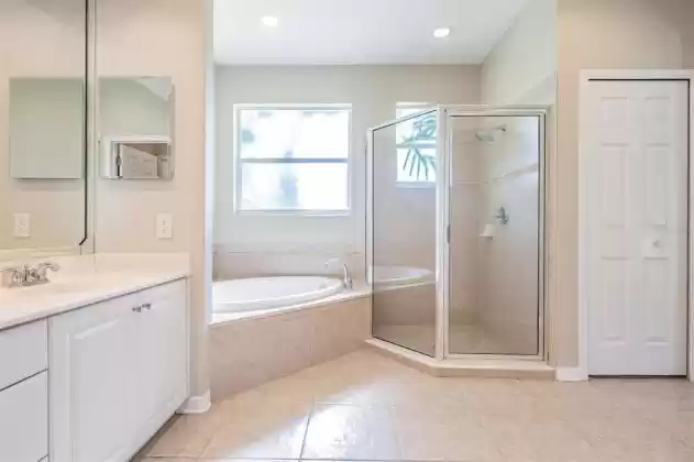 Large Shower and soaking tub