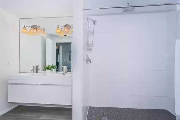 Master Bathroom - Walk-In Shower and Double Vanity