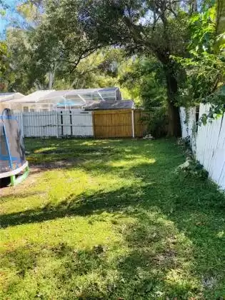 Large Backyard