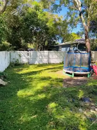 Large Backyard
