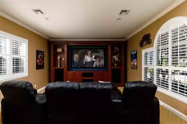 Home Theater with Tiered Seating