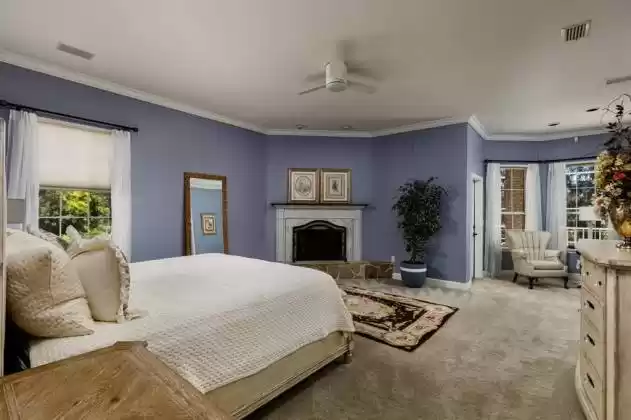 Palatial Master Suite with wood burning Fireplace and Reading Salon