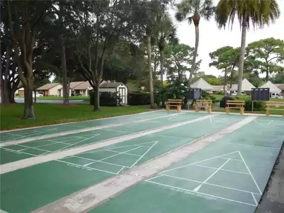 Shuffleboard At Clubhouse