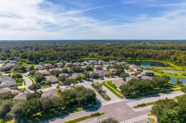 6003 CANDYTUFT PLACE, LAND O LAKES, Florida 34639, 5 Bedrooms Bedrooms, ,3 BathroomsBathrooms,Residential,For Sale,CANDYTUFT,O5981132
