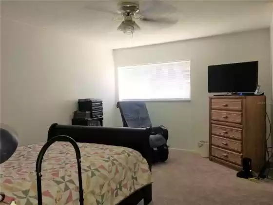 Master Bedroom - 14 x 13 - Carpeting, Blinds and Ceiling Fan
