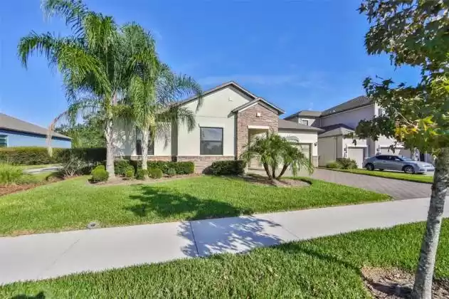 12805 SATIN LILY DRIVE, RIVERVIEW, Florida 33579, 4 Bedrooms Bedrooms, ,2 BathroomsBathrooms,Residential,For Sale,SATIN LILY,T3336592