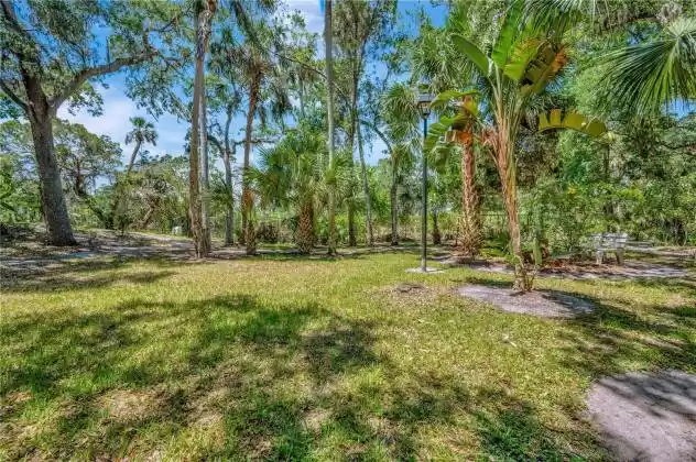 11526 RIVER COUNTRY DRIVE, RIVERVIEW, Florida 33569, 6 Bedrooms Bedrooms, ,4 BathroomsBathrooms,Residential,For Sale,RIVER COUNTRY,MFRT3447286
