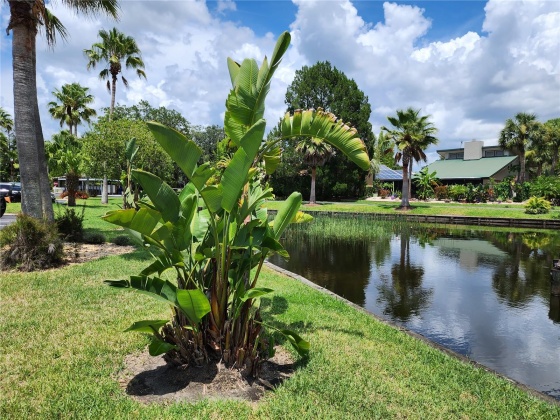 1849 ABRICO DRIVE, LUTZ, Florida 33558, 3 Bedrooms Bedrooms, ,3 BathroomsBathrooms,Residential,For Sale,ABRICO,MFRU8207292