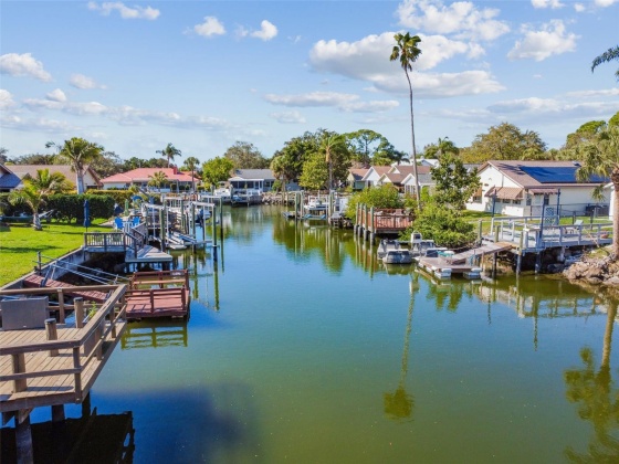 4501 GARNET DRIVE, NEW PORT RICHEY, Florida 34652, 2 Bedrooms Bedrooms, ,2 BathroomsBathrooms,Residential,For Sale,GARNET,MFRT3478322