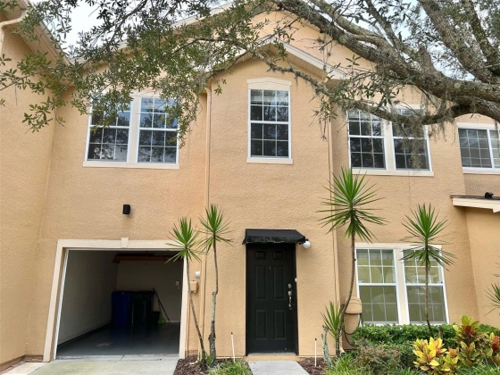 16304 PARKSTONE PALMS COURT, TAMPA, Florida 33647, 3 Bedrooms Bedrooms, ,2 BathroomsBathrooms,Residential,For Sale,PARKSTONE PALMS,MFRT3479444