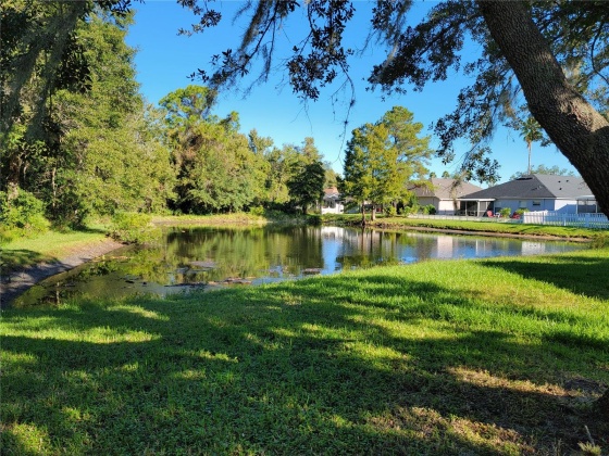 1139 CRIMSON CLOVER LANE, WESLEY CHAPEL, Florida 33543, 4 Bedrooms Bedrooms, ,2 BathroomsBathrooms,Residential,For Sale,CRIMSON CLOVER,MFRA4587105