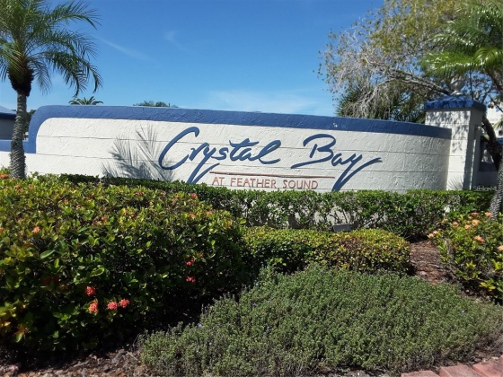 2333 FEATHER SOUND DRIVE, CLEARWATER, Florida 33762, 1 Bedroom Bedrooms, ,1 BathroomBathrooms,Residential,For Sale,FEATHER SOUND,MFRU8219339