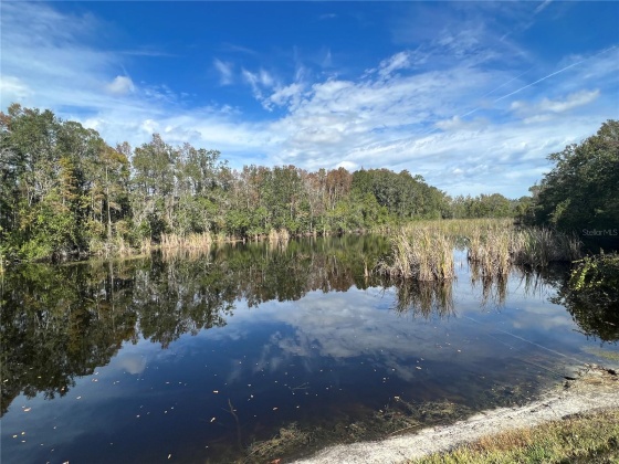 12035 PROCTOR LOOP, NEW PORT RICHEY, Florida 34654, 2 Bedrooms Bedrooms, ,1 BathroomBathrooms,Residential,For Sale,PROCTOR,MFRT3486709