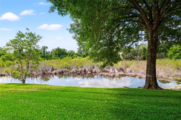 1944 HAMMOCKS AVENUE, LUTZ, Florida 33549, 2 Bedrooms Bedrooms, ,2 BathroomsBathrooms,Residential,For Sale,HAMMOCKS,MFRT3488765