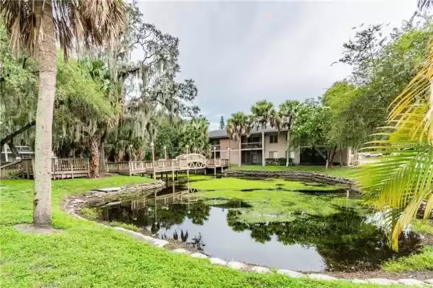 5504 POKEWEED COURT, TAMPA, Florida 33617, 2 Bedrooms Bedrooms, ,2 BathroomsBathrooms,Residential,For Sale,POKEWEED,MFRO6161772