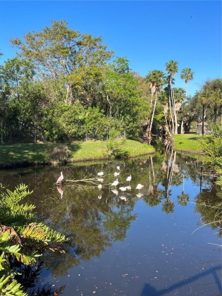 5601 SHORE BOULEVARD, GULFPORT, Florida 33707, 2 Bedrooms Bedrooms, ,1 BathroomBathrooms,Residential,For Sale,SHORE,MFRT3490167