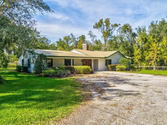 2968 SHADY ACRES ROAD, DOVER, Florida 33527, 7 Bedrooms Bedrooms, ,4 BathroomsBathrooms,Residential,For Sale,SHADY ACRES,MFRT3492541