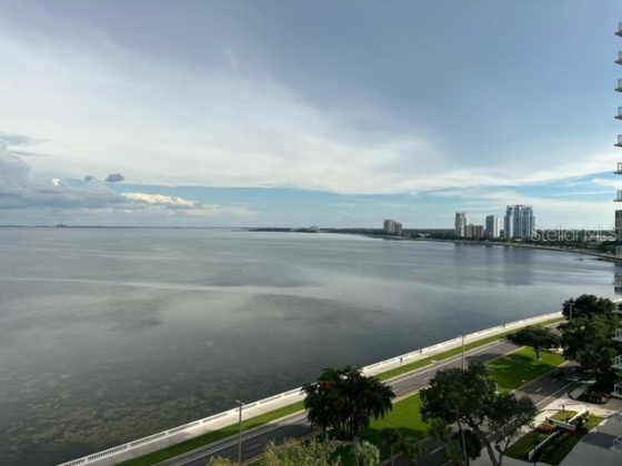 2611 BAYSHORE BOULEVARD, TAMPA, Florida 33629, 2 Bedrooms Bedrooms, ,2 BathroomsBathrooms,Residential,For Sale,BAYSHORE,MFRT3490927