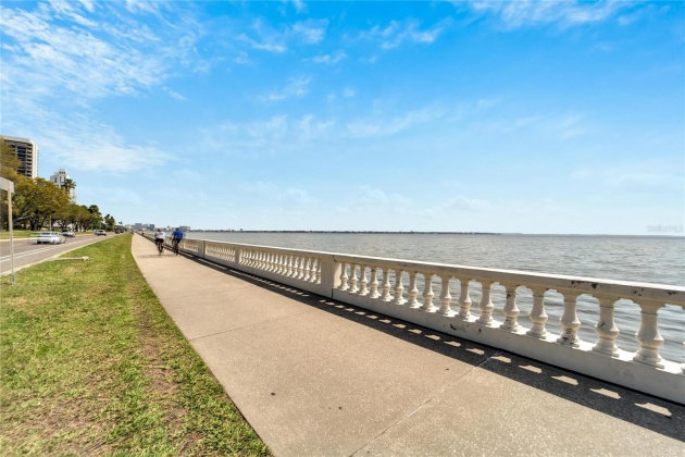 2611 BAYSHORE BOULEVARD, TAMPA, Florida 33629, 2 Bedrooms Bedrooms, ,2 BathroomsBathrooms,Residential,For Sale,BAYSHORE,MFRT3490927