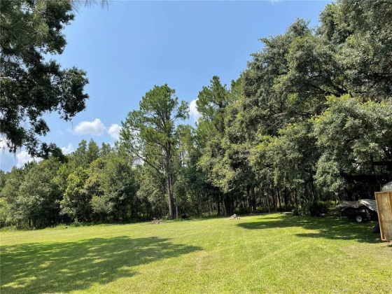 6652 EVENING SHADE LANE, LAND O LAKES, Florida 34638, ,Land,For Sale,EVENING SHADE,MFRU8133343