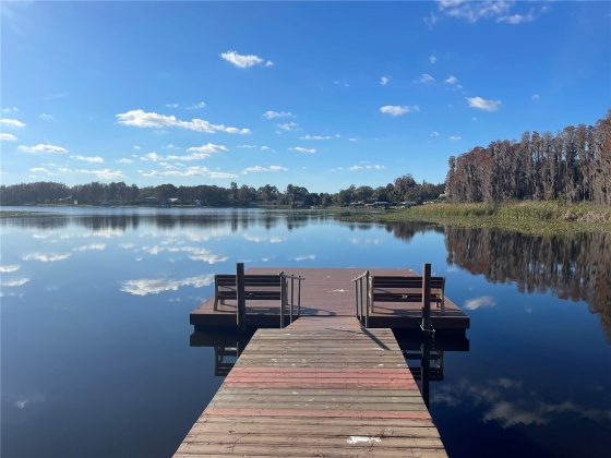 1940 HAMMOCKS AVENUE, LUTZ, Florida 33549, 3 Bedrooms Bedrooms, ,2 BathroomsBathrooms,Residential,For Sale,HAMMOCKS,MFRT3495074