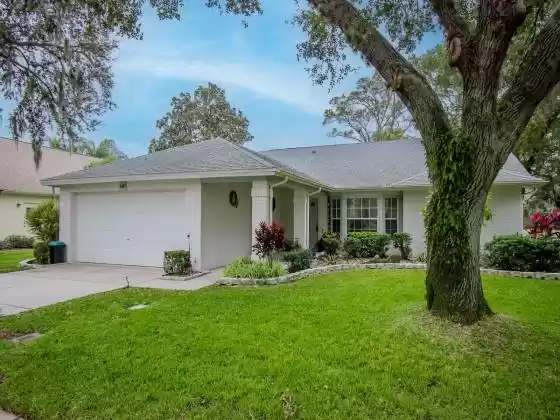 6545 COUNTRY RIDGE LANE, NEW PORT RICHEY, Florida 34655, 2 Bedrooms Bedrooms, ,2 BathroomsBathrooms,Residential,For Sale,COUNTRY RIDGE,MFRW7861128