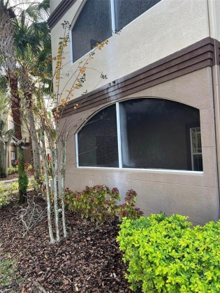 16202 SAINT MICHELLE COURT, TAMPA, Florida 33647, 2 Bedrooms Bedrooms, ,2 BathroomsBathrooms,Residential,For Sale,SAINT MICHELLE,MFRT3499600