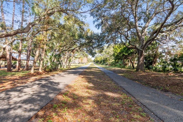 831 MAPLE COURT, DUNEDIN, Florida 34698, 2 Bedrooms Bedrooms, ,1 BathroomBathrooms,Residential,For Sale,MAPLE,MFRT3500032