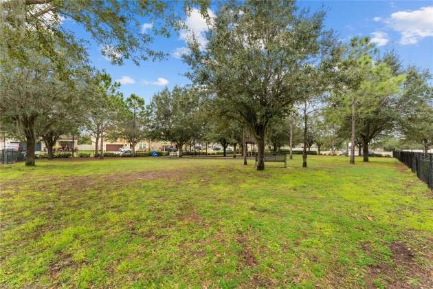 21503 BILLOWY JAUNT DRIVE, LAND O LAKES, Florida 34637, 4 Bedrooms Bedrooms, ,2 BathroomsBathrooms,Residential,For Sale,BILLOWY JAUNT,MFRT3503225