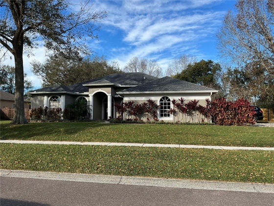 10009 COUNTRY CARRIAGE CIRCLE, RIVERVIEW, Florida 33569, 4 Bedrooms Bedrooms, ,3 BathroomsBathrooms,Residential,For Sale,COUNTRY CARRIAGE,MFRO6182430