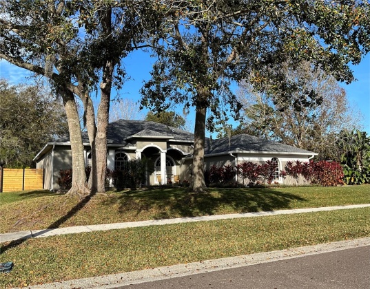 10009 COUNTRY CARRIAGE CIRCLE, RIVERVIEW, Florida 33569, 4 Bedrooms Bedrooms, ,3 BathroomsBathrooms,Residential,For Sale,COUNTRY CARRIAGE,MFRO6182430