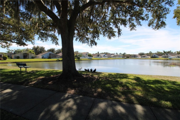 29243 BIRDS EYE DRIVE, WESLEY CHAPEL, Florida 33543, 3 Bedrooms Bedrooms, ,2 BathroomsBathrooms,Residential,For Sale,BIRDS EYE,MFRT3479574