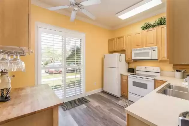 21032 PICASSO COURT, LAND O LAKES, Florida 34637, 2 Bedrooms Bedrooms, ,2 BathroomsBathrooms,Residential,For Sale,PICASSO,MFRT3443762