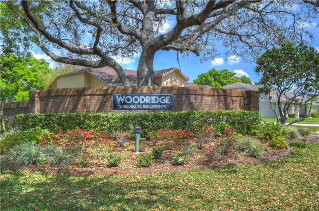 1521 WATERWOOD DRIVE, LUTZ, Florida 33559, 4 Bedrooms Bedrooms, ,2 BathroomsBathrooms,Residential,For Sale,WATERWOOD,MFRT3512326