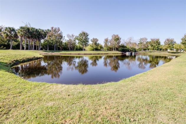 206 SHELL CREEK COURT, APOLLO BEACH, Florida 33572, 4 Bedrooms Bedrooms, ,3 BathroomsBathrooms,Residential,For Sale,SHELL CREEK,MFRT3512782