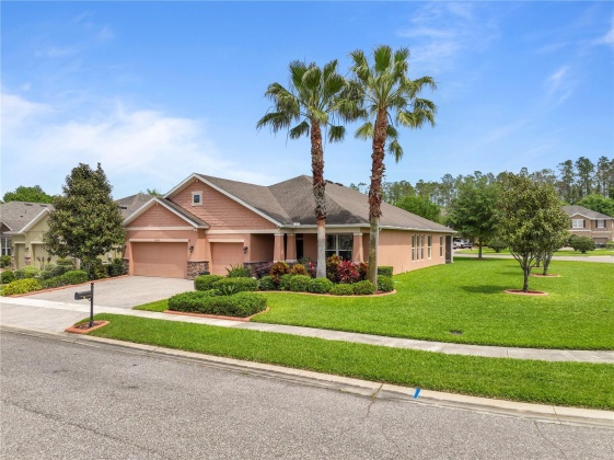 22398 CHEROKEE ROSE PLACE, LAND O LAKES, Florida 34639, 4 Bedrooms Bedrooms, ,3 BathroomsBathrooms,Residential,For Sale,CHEROKEE ROSE,MFRT3512895