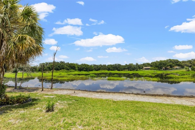 35323 WHISPERING PINES DRIVE, ZEPHYRHILLS, Florida 33541, 2 Bedrooms Bedrooms, ,2 BathroomsBathrooms,Residential,For Sale,WHISPERING PINES,MFRT3493711