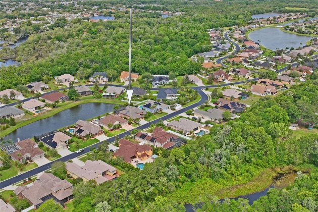 1733 NODDING THISTLE DRIVE, TRINITY, Florida 34655, 4 Bedrooms Bedrooms, ,3 BathroomsBathrooms,Residential,For Sale,NODDING THISTLE,MFRW7863771