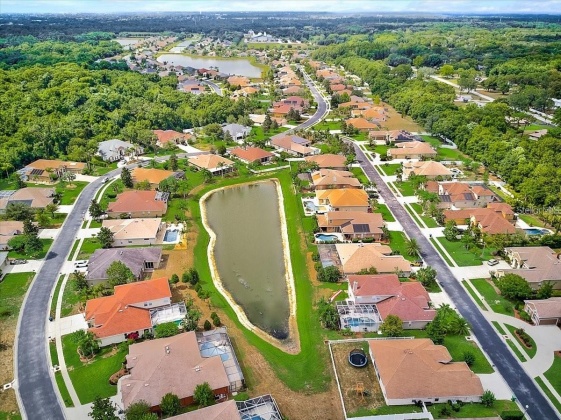 1733 NODDING THISTLE DRIVE, TRINITY, Florida 34655, 4 Bedrooms Bedrooms, ,3 BathroomsBathrooms,Residential,For Sale,NODDING THISTLE,MFRW7863771