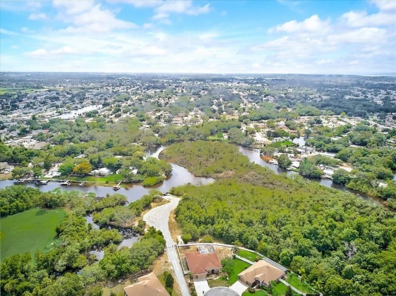 1733 NODDING THISTLE DRIVE, TRINITY, Florida 34655, 4 Bedrooms Bedrooms, ,3 BathroomsBathrooms,Residential,For Sale,NODDING THISTLE,MFRW7863771