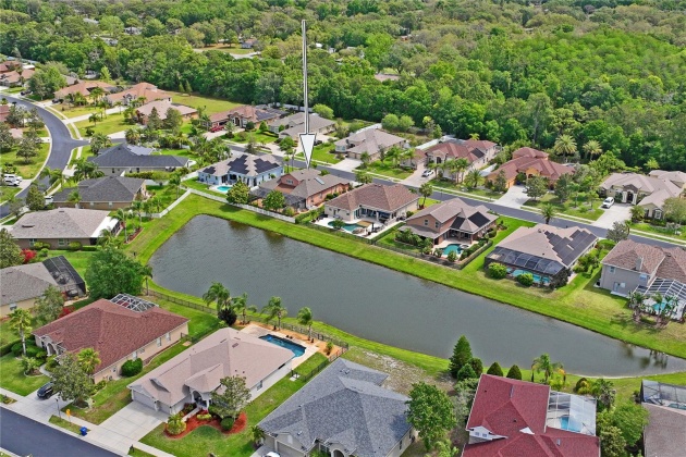 1733 NODDING THISTLE DRIVE, TRINITY, Florida 34655, 4 Bedrooms Bedrooms, ,3 BathroomsBathrooms,Residential,For Sale,NODDING THISTLE,MFRW7863771